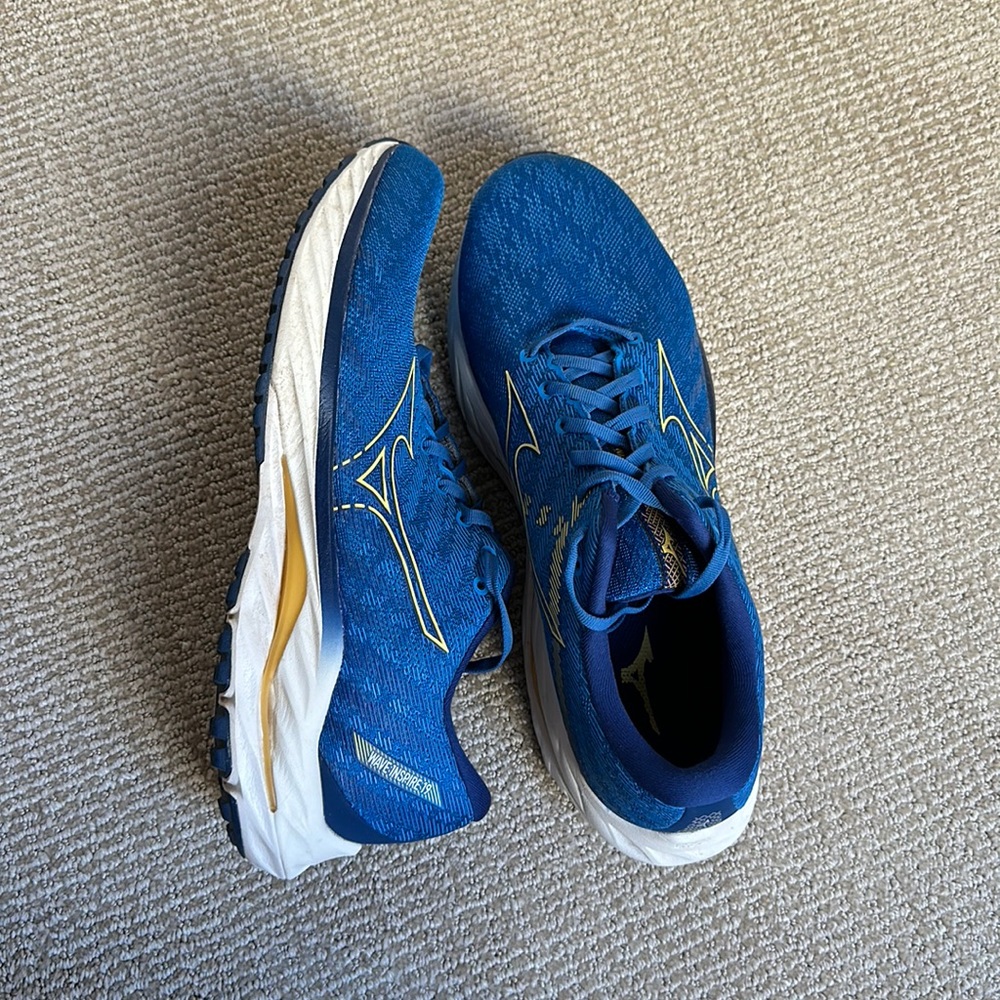 Men’s Wave Inspire 19 Running Shoes